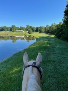 horse ride