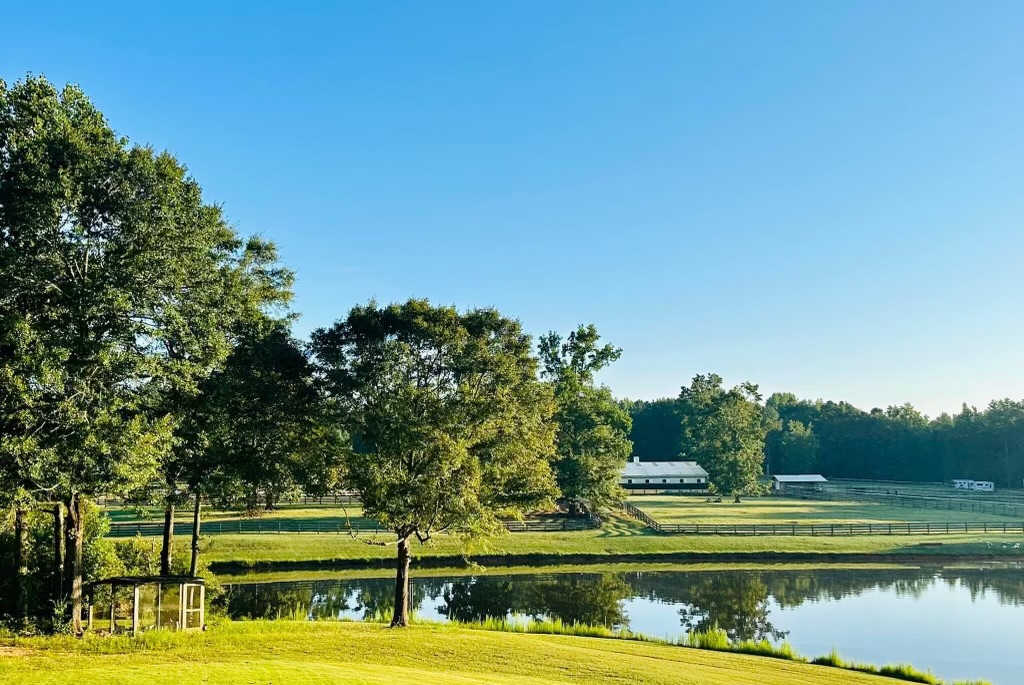 Cedar Ridge Ranch